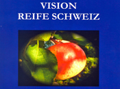 vision