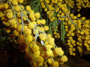 blog040311_1