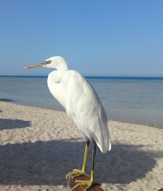 blog090909-3