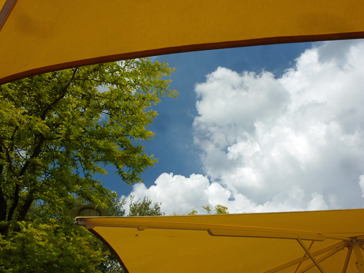blog250511_3
