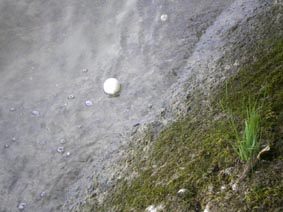buch-mehr1